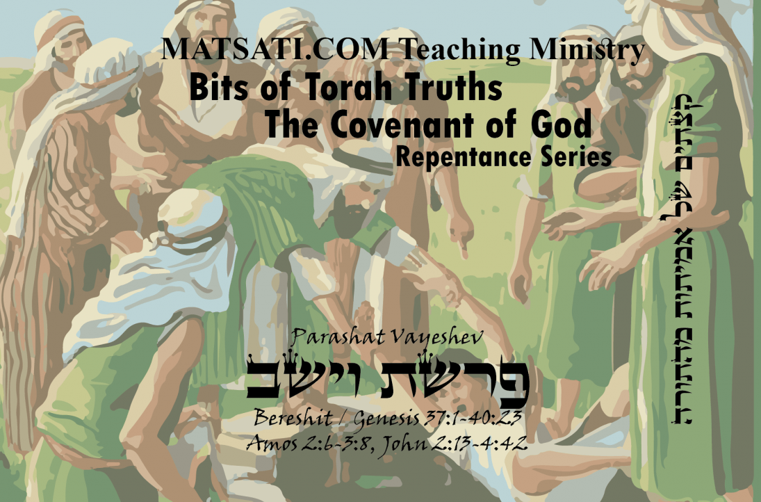 Bits Of Torah Truths, Parashat Vayeshev, פרשת וישב, What Are You ...