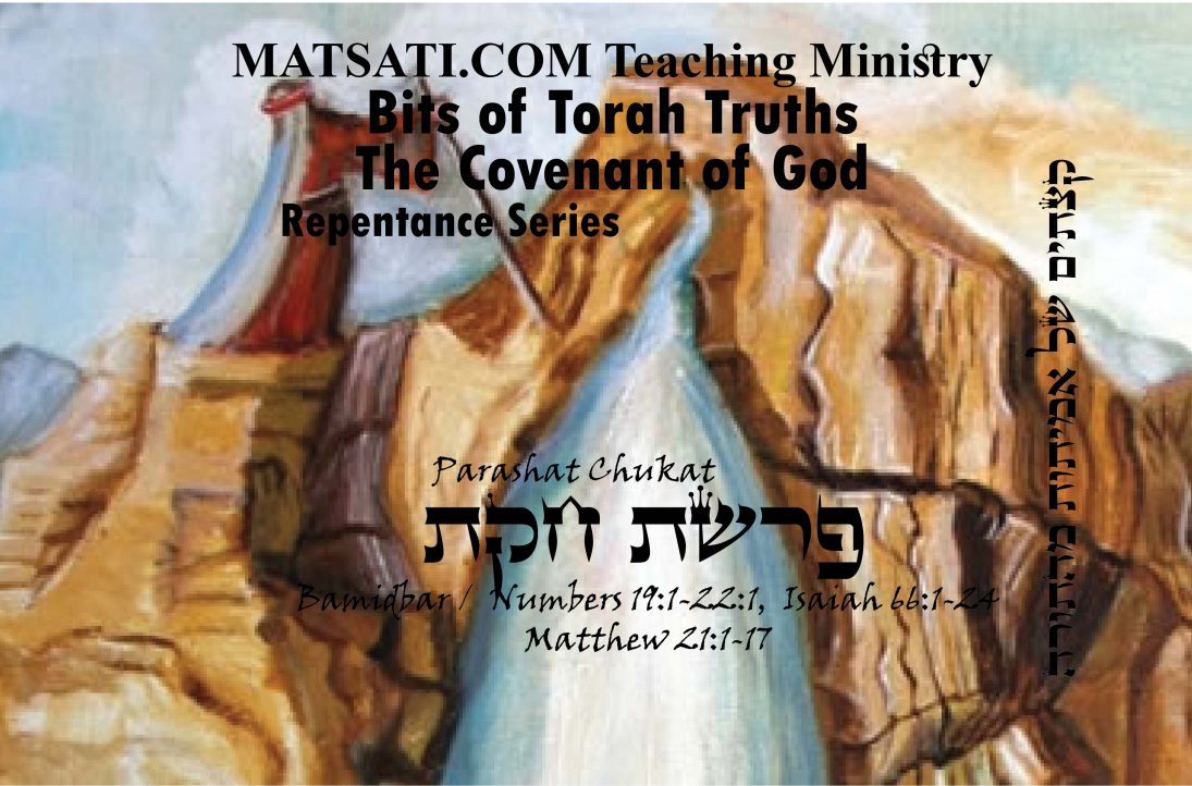 Bits Of Torah Truths, Parashat Chukat, פרשת חקת, Is There A Requirement ...