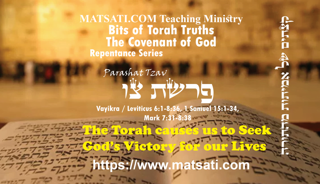 Bits Of Torah Truths, פרשת צו, Parashat Tzav, The Torah Causes Us To ...