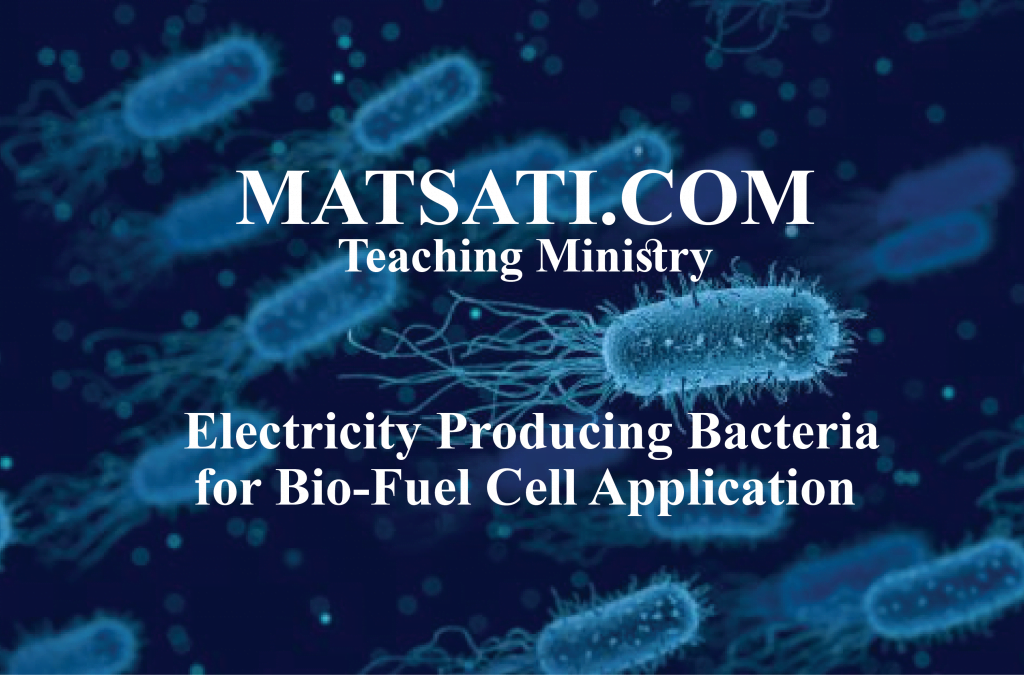 Electricity Producing Bacteria For Bio-Fuel Cell Application - MATSATI ...