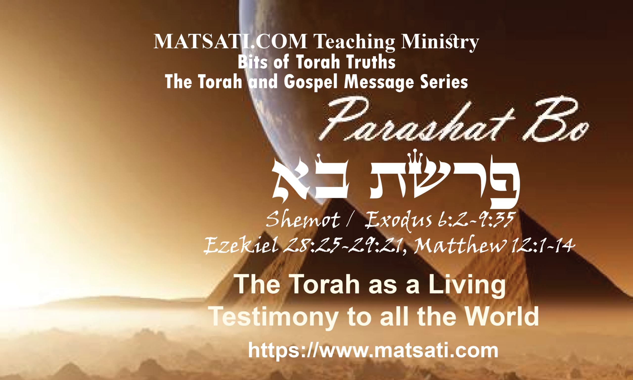 The Torah As A Living Testimony To All The World פרשת בא Parashat Bo Bits Of Torah Truths