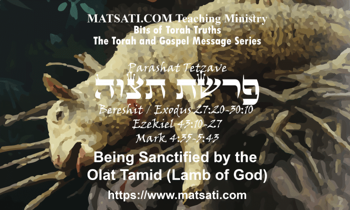 Being Sanctified By The Olat Tamid (Lamb Of God), פרשת תצוה, Parashat ...